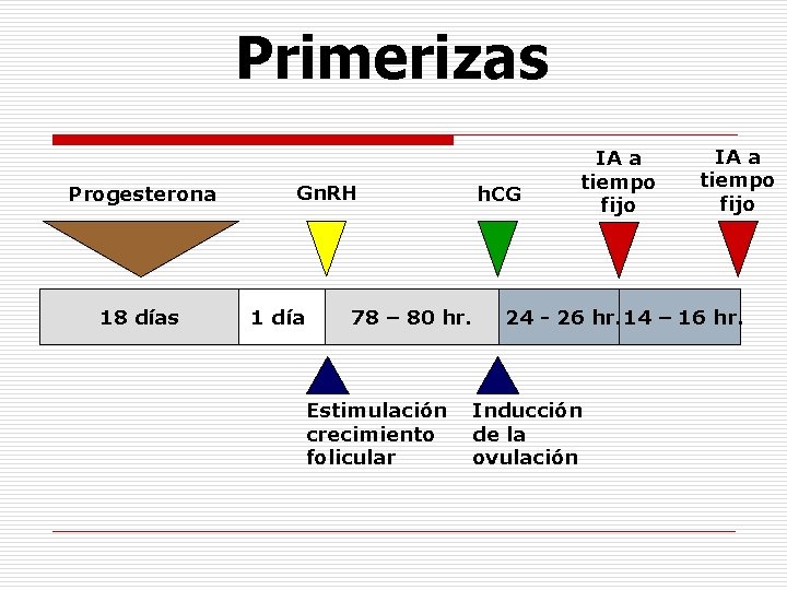 Primerizas Progesterona 18 días Gn. RH 1 día 78 – 80 hr. Estimulación crecimiento Primerizas Progesterona 18 días Gn. RH 1 día 78 – 80 hr. Estimulación crecimiento
