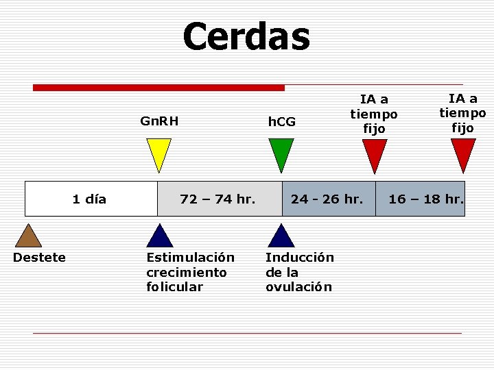 Cerdas Gn. RH 1 día Destete h. CG 72 – 74 hr. Estimulación crecimiento Cerdas Gn. RH 1 día Destete h. CG 72 – 74 hr. Estimulación crecimiento