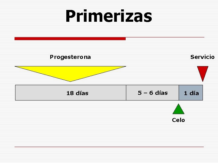 Primerizas Progesterona 18 días Servicio 5 – 6 días 1 día Celo Primerizas Progesterona 18 días Servicio 5 – 6 días 1 día Celo