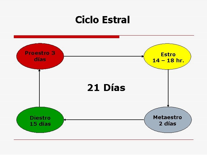 Ciclo Estral Proestro 3 días Estro 14 – 18 hr. 21 Días Diestro 15 Ciclo Estral Proestro 3 días Estro 14 – 18 hr. 21 Días Diestro 15