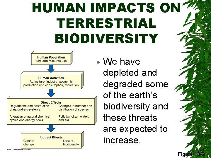 HUMAN IMPACTS ON TERRESTRIAL BIODIVERSITY We have depleted and degraded some of the earth’s