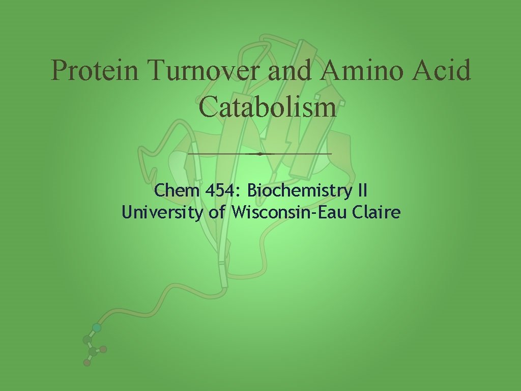 Protein Turnover and Amino Acid Catabolism Chem 454: Biochemistry II University of Wisconsin-Eau Claire