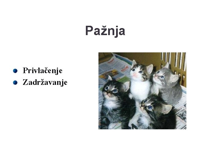 Pažnja Privlačenje Zadržavanje 