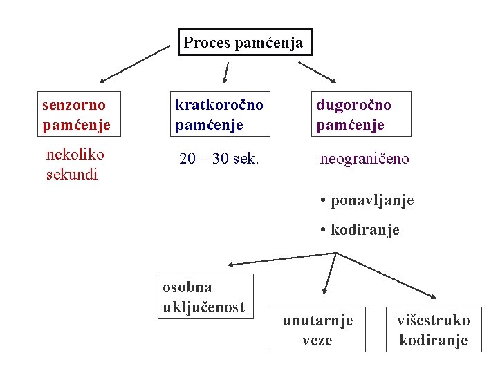 Proces pamćenja senzorno pamćenje kratkoročno pamćenje dugoročno pamćenje nekoliko sekundi 20 – 30 sek.