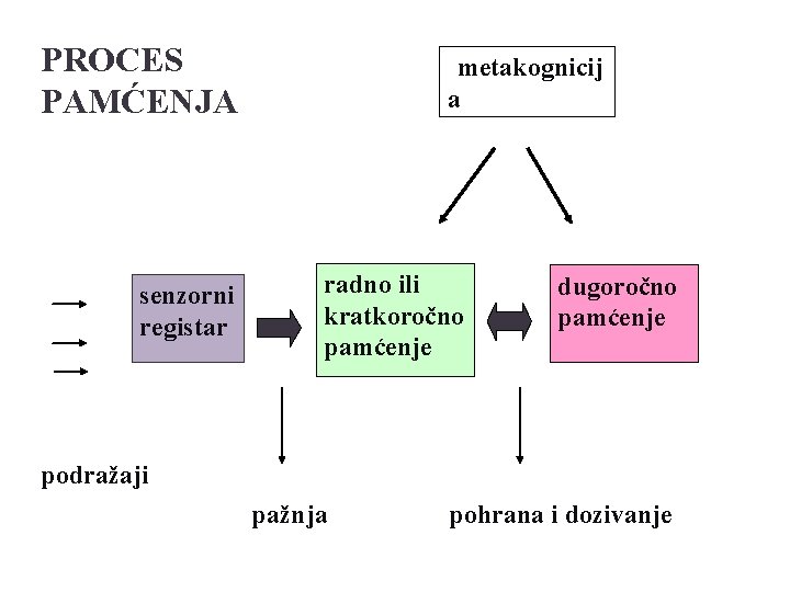 PROCES PAMĆENJA senzorni registar metakognicij a radno ili kratkoročno pamćenje dugoročno pamćenje podražaji pažnja