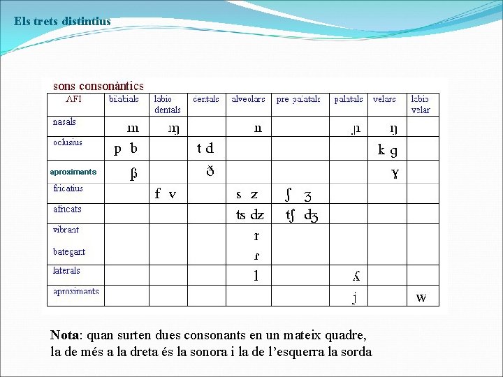 Els trets distintius aproximants Nota: quan surten dues consonants en un mateix quadre, la