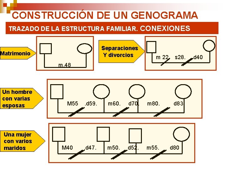 CONSTRUCCIÓN DE UN GENOGRAMA TRAZADO DE LA ESTRUCTURA FAMILIAR. CONEXIONES Separaciones Y divorcios Matrimonio CONSTRUCCIÓN DE UN GENOGRAMA TRAZADO DE LA ESTRUCTURA FAMILIAR. CONEXIONES Separaciones Y divorcios Matrimonio