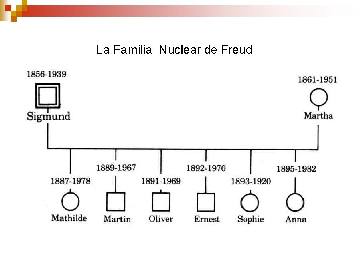La Familia Nuclear de Freud La Familia Nuclear de Freud