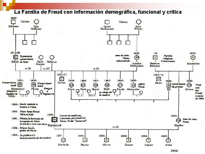 La Familia de Freud con información demográfica, funcional y critica La Familia de Freud con información demográfica, funcional y critica