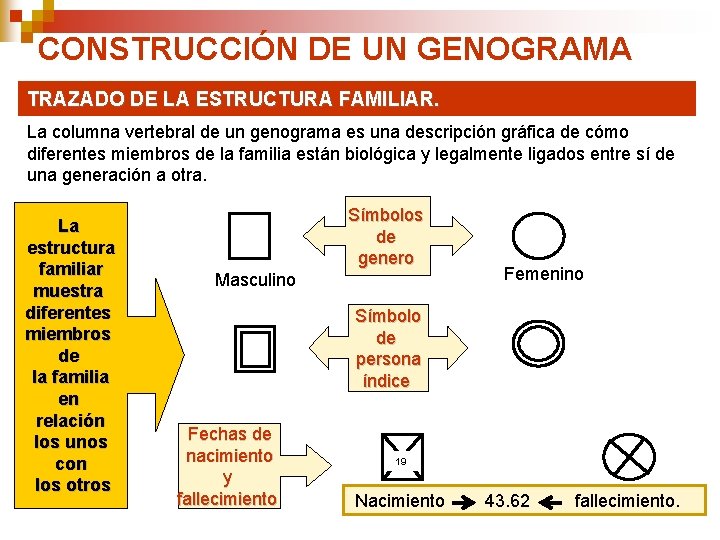 CONSTRUCCIÓN DE UN GENOGRAMA TRAZADO DE LA ESTRUCTURA FAMILIAR. La columna vertebral de un CONSTRUCCIÓN DE UN GENOGRAMA TRAZADO DE LA ESTRUCTURA FAMILIAR. La columna vertebral de un