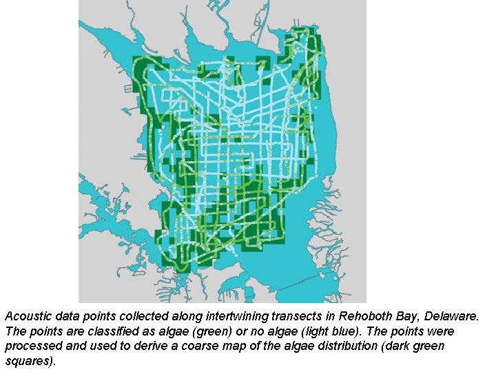Acoustic data points collected along intertwining transects in Rehoboth Bay, Delaware. The points are Acoustic data points collected along intertwining transects in Rehoboth Bay, Delaware. The points are