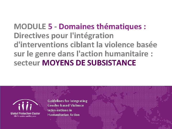 MODULE 5 - Domaines thématiques : Directives pour l'intégration d'interventions ciblant la violence basée