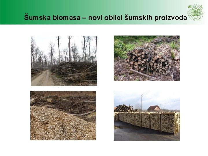 Šumska biomasa – novi oblici šumskih proizvoda Šumska biomasa – novi oblici šumskih proizvoda
