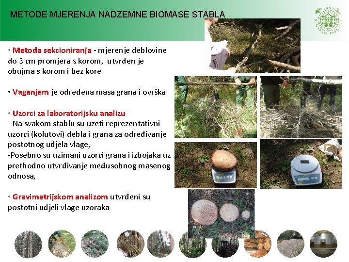 METODE MJERENJA NADZEMNE BIOMASE STABLA • Metoda sekcioniranja - mjerenje deblovine do 3 cm METODE MJERENJA NADZEMNE BIOMASE STABLA • Metoda sekcioniranja - mjerenje deblovine do 3 cm