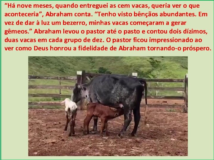 “Há nove meses, quando entreguei as cem vacas, queria ver o que aconteceria”, Abraham