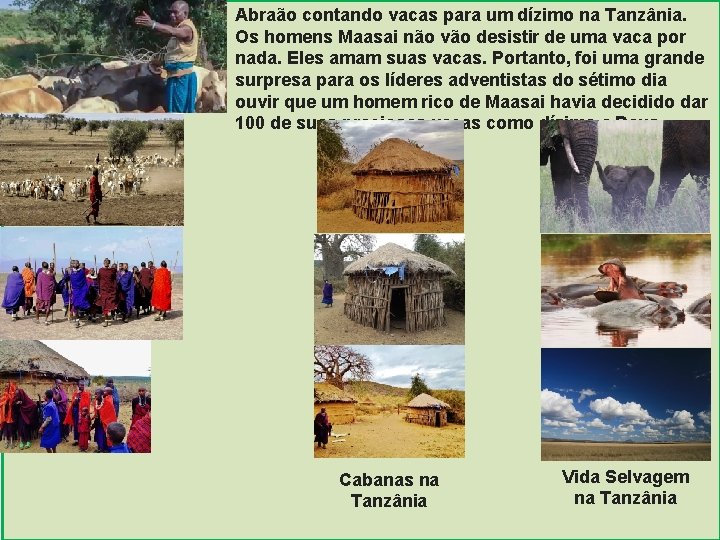 Abraão contando vacas para um dízimo na Tanzânia. Os homens Maasai não vão desistir