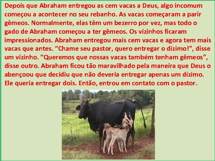 Depois que Abraham entregou as cem vacas a Deus, algo incomum começou a acontecer