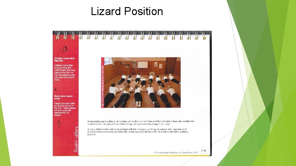 Lizard Position 
