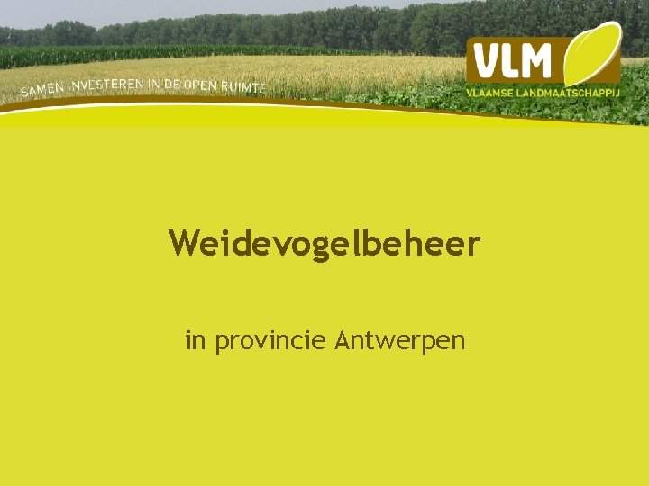 Weidevogelbeheer in provincie Antwerpen 