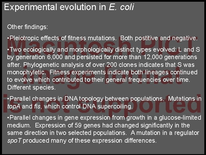 Experimental evolution in E. coli Other findings: • Pleiotropic effects of fitness mutations. Both