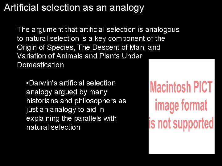 Artificial selection as an analogy The argument that artificial selection is analogous to natural