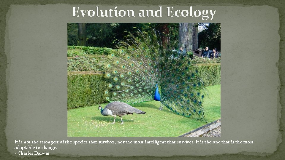 Evolution and Ecology It is not the strongest of the species that survives, nor