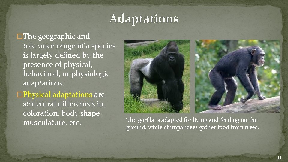 Adaptations �The geographic and tolerance range of a species is largely defined by the