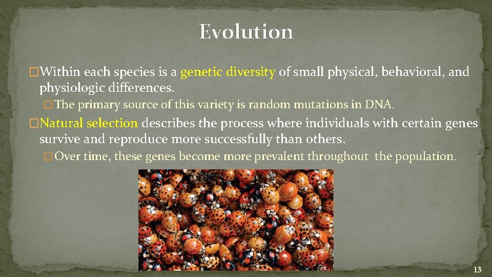 Evolution �Within each species is a genetic diversity of small physical, behavioral, and physiologic