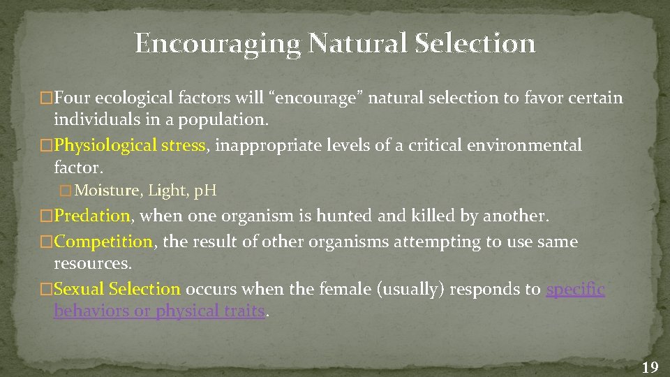 Encouraging Natural Selection �Four ecological factors will “encourage” natural selection to favor certain individuals