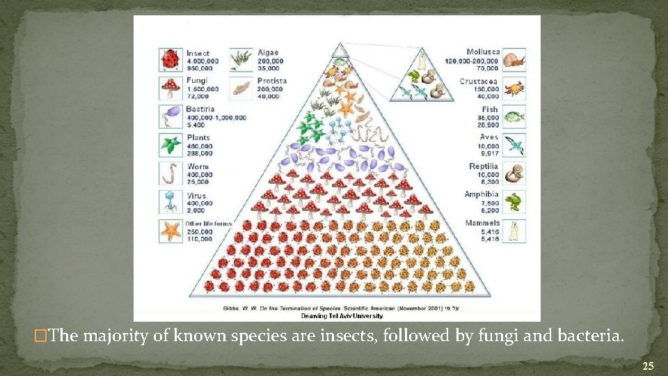 �The majority of known species are insects, followed by fungi and bacteria. 25 