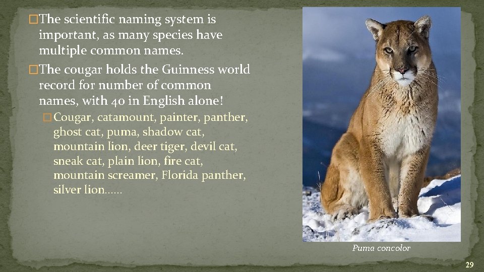 �The scientific naming system is important, as many species have multiple common names. �The