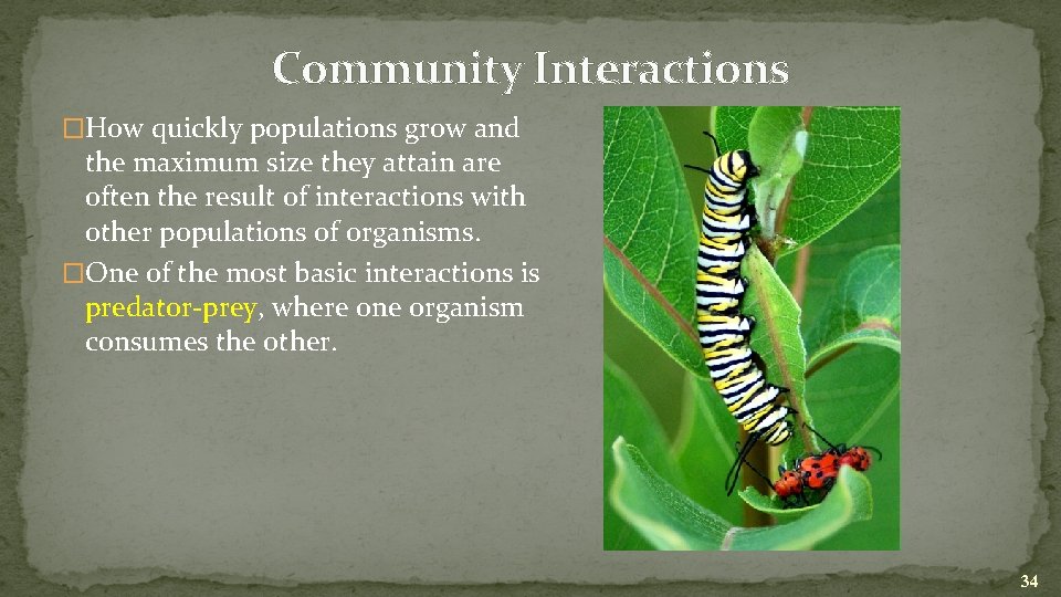 Community Interactions �How quickly populations grow and the maximum size they attain are often