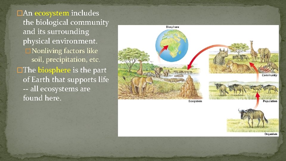 �An ecosystem includes the biological community and its surrounding physical environment. � Nonliving factors