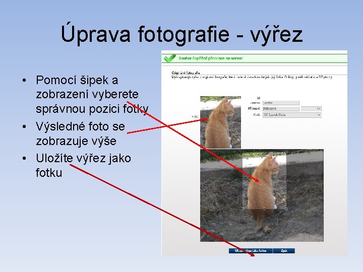 Úprava fotografie - výřez • Pomocí šipek a zobrazení vyberete správnou pozici fotky •