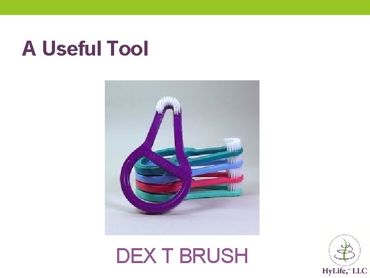 A Useful Tool DEX T BRUSH A Useful Tool DEX T BRUSH