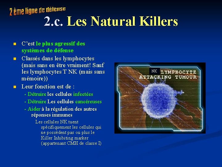 2. c. Les Natural Killers n n n C’est le plus agressif des systèmes