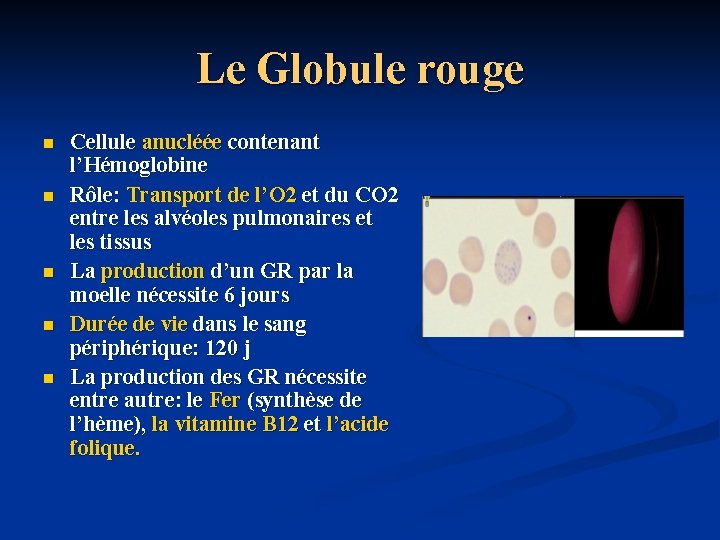 Le Globule rouge n n n Cellule anucléée contenant l’Hémoglobine Rôle: Transport de l’O