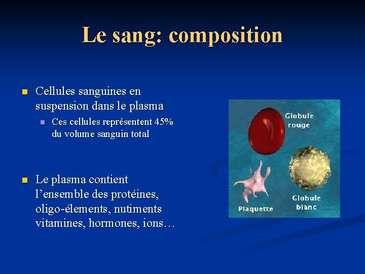 Le sang: composition n Cellules sanguines en suspension dans le plasma n n Ces