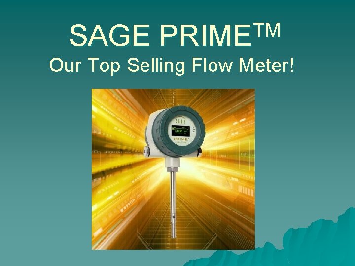SAGE TM PRIME Our Top Selling Flow Meter! 