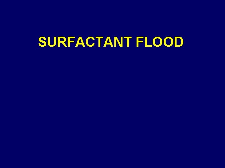 SURFACTANT FLOOD 