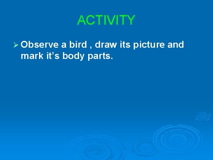ACTIVITY Ø Observe a bird , draw its picture and mark it’s body parts.