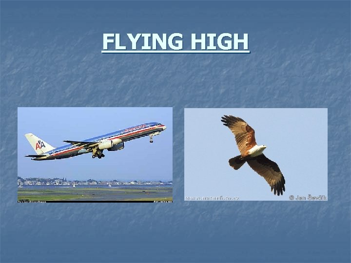 FLYING HIGH 