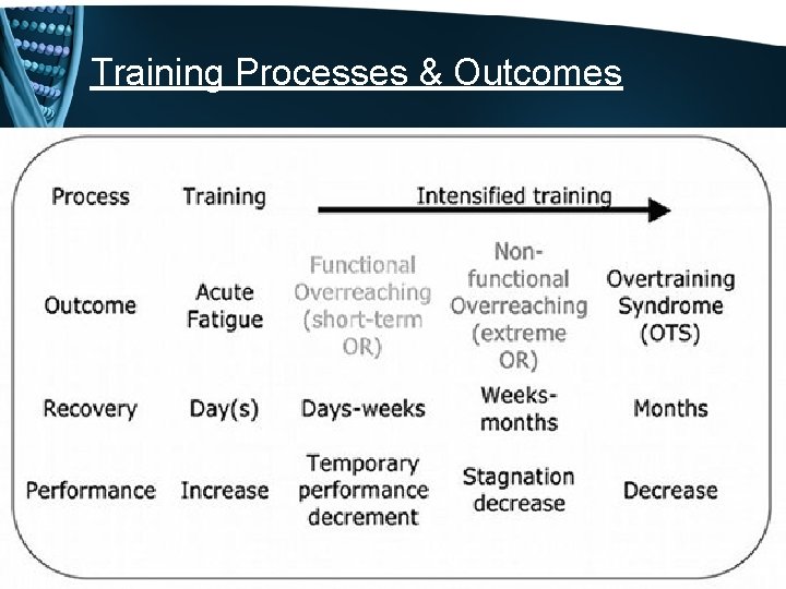 Training Processes & Outcomes 
