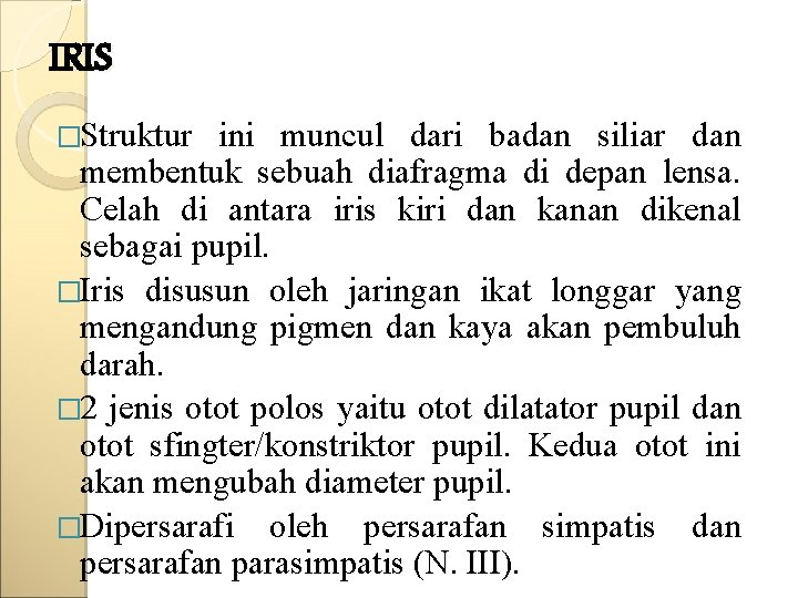 IRIS �Struktur ini muncul dari badan siliar dan membentuk sebuah diafragma di depan lensa.