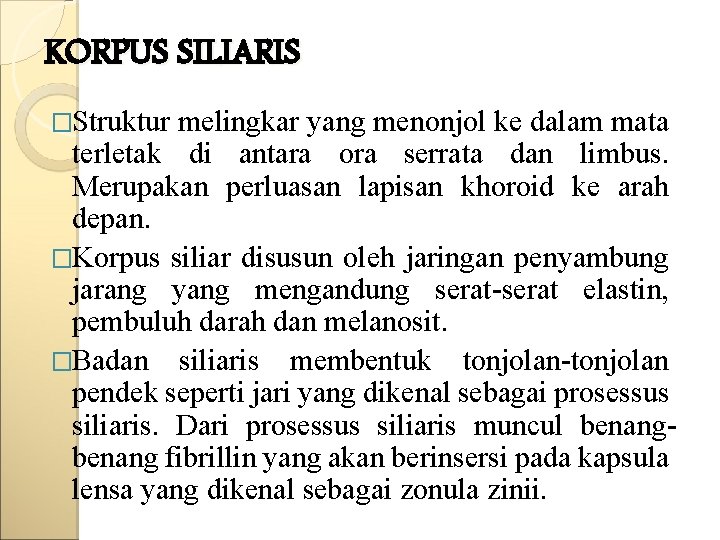 KORPUS SILIARIS �Struktur melingkar yang menonjol ke dalam mata terletak di antara ora serrata