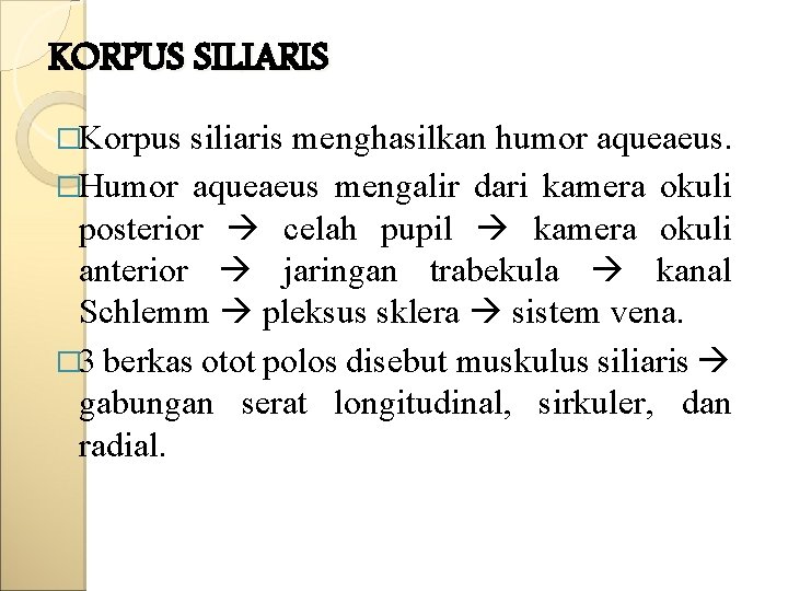 KORPUS SILIARIS �Korpus siliaris menghasilkan humor aqueaeus. �Humor aqueaeus mengalir dari kamera okuli posterior