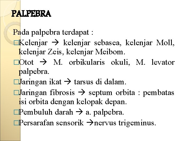 PALPEBRA Pada palpebra terdapat : �Kelenjar kelenjar sebasea, kelenjar Moll, kelenjar Zeis, kelenjar Meibom.