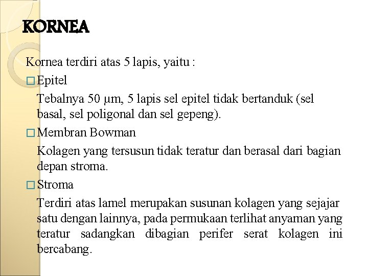 KORNEA Kornea terdiri atas 5 lapis, yaitu : � Epitel Tebalnya 50 µm, 5