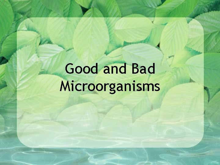 Good and Bad Microorganisms 