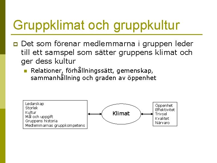 Gruppklimat och gruppkultur p Det som förenar medlemmarna i gruppen leder till ett samspel